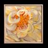 Yellow n white hues ..