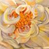 Yellow n white hues .. - Image 2